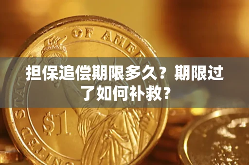 济南担保追偿期限多久？期限过了如何补救？