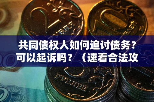 济南共同债权人如何追讨债务？可以起诉吗？（速看合法攻略）